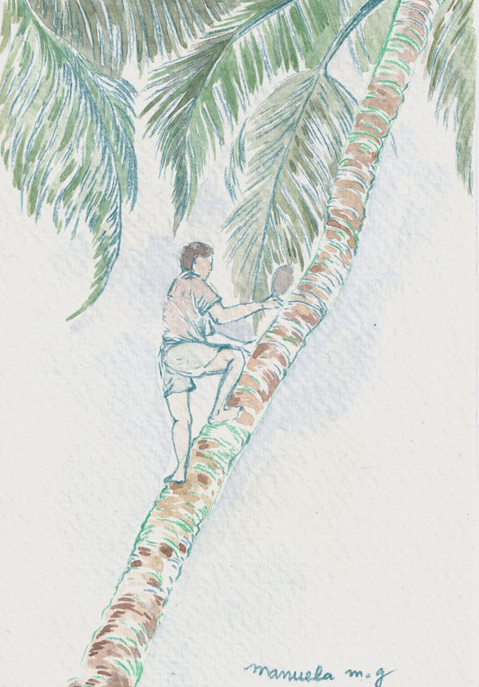 The coconut Plucker