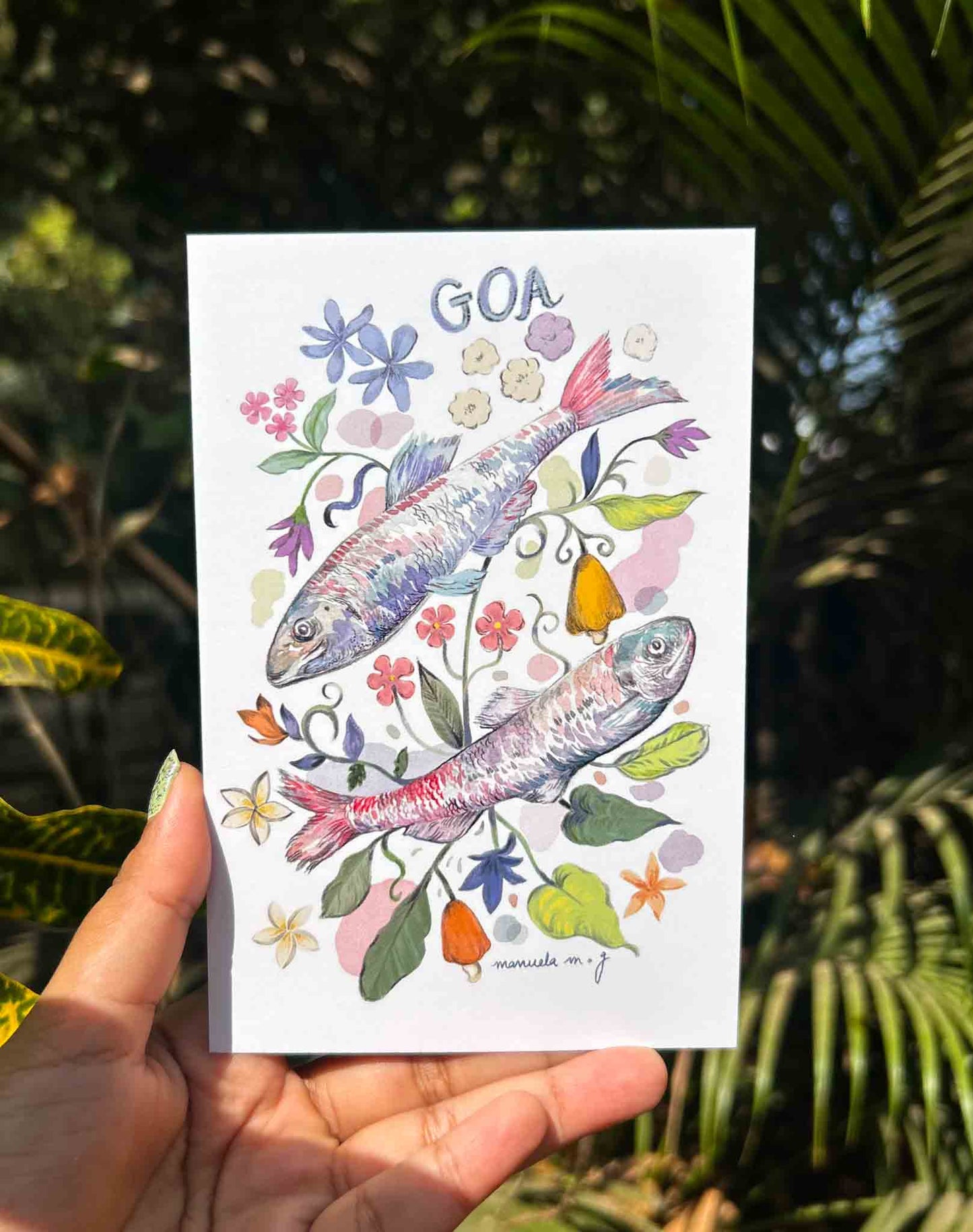 Postcards - Sardinhas de Goa