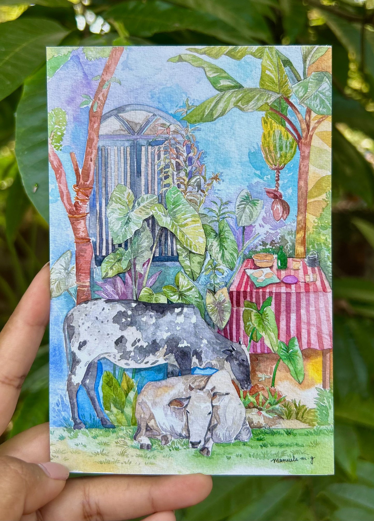 Postcards - Cow, Tea party