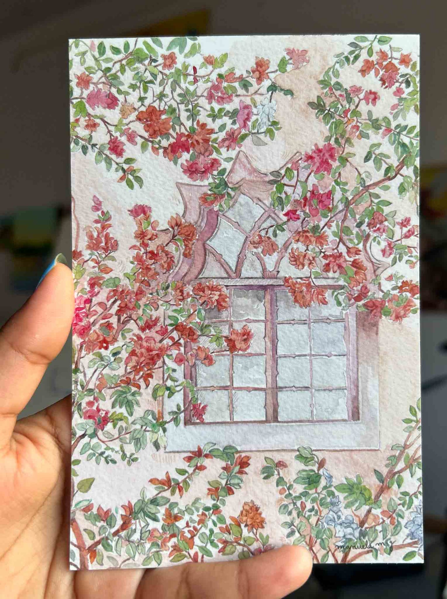 Postcards - Bougainvillea, Paradise