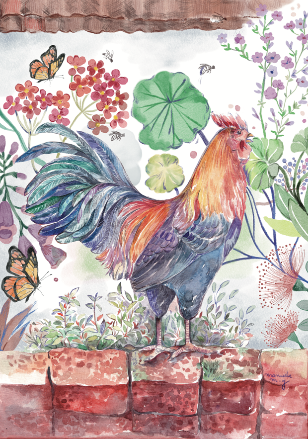 Rooster in Bloom